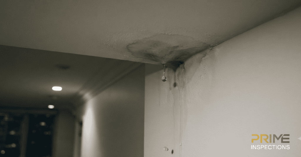 What to Do When You Missed the Snagging Window on Off-Plan