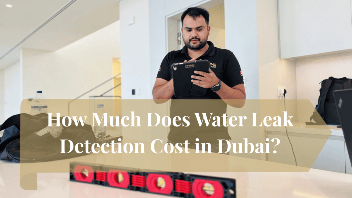 “Water leak detection in Dubai villa using thermal imaging camera and moisture meter”